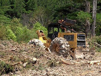 Land Clearing, St Cloud, FL
